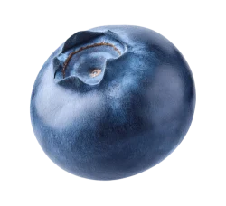 Черника